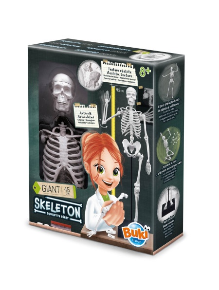 Buki Skelet ( 104308 )