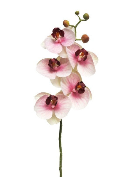 Dekordom cvet orchid 58cm 13015-7 - pink - nnt ( 040051 )