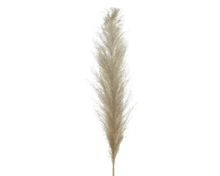 Dekordom novogodišnji cvet - pampas grass 125cm 837160 - natural - kmg ( 041210 )-1