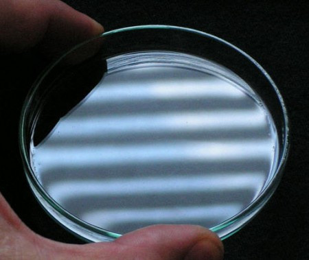 Lacerta petrijeva šolja 60mm ( Petri060 ) - Img 1
