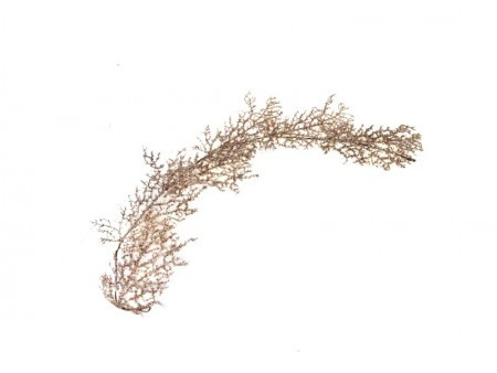 Sprig, novogodišnja grana,bela, 150cm ( 780651 ) - Img 1