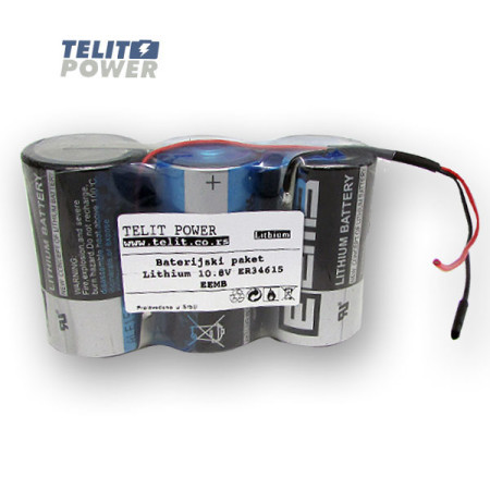 TelitPower baterija Litijum 10.8V 19Ah EEMB ( P-0866 )