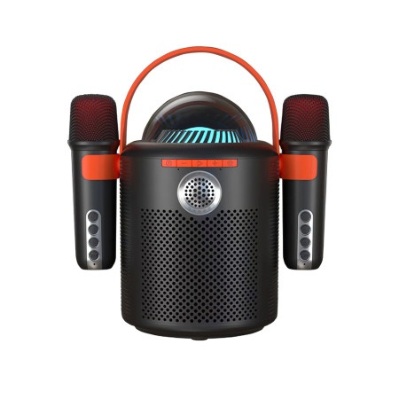 Zvucnik bluetooth y-11 sa 2 mikrofona crni ( ZV929 )