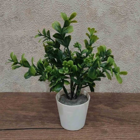 Dekordom cvet u saksiji - succulent 0038-38a - n38 ( 024264 )