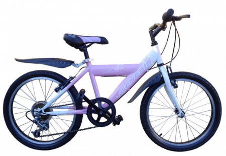 Genesis Aurora 20&quot;/6 Bicikl pink-bela ( BCK0331 ) - Img 1
