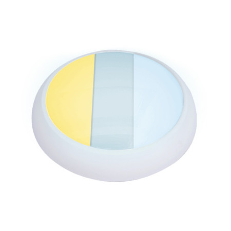 LED plafonjera 16,20,24W, promenljiva boja svetla ( 202233 )