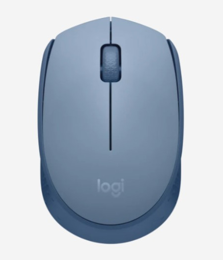 Logitech M171 wireless mouse bluegrey