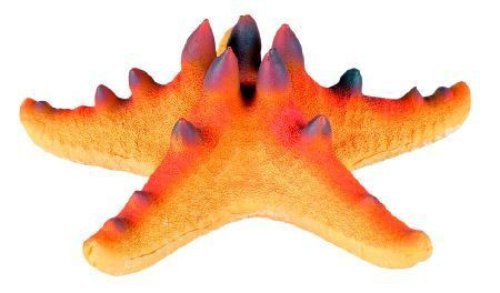 Trixie Morska zvezda sa magnetom 10.5 cm ( 8896 ) - Img 1