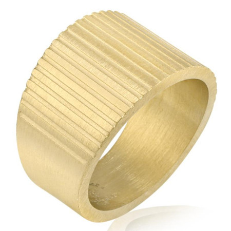 Ženski santa barbara polo zlatni prsten od hirurškog Čelika m ( sbj.3.7005.m.2 )