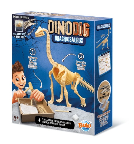 Buki Dino iskopina brachiosaurus ( 105961 )