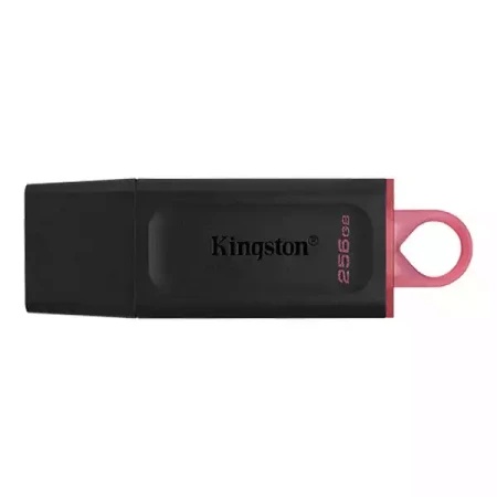 Kingston 256 GB 3.2 Exodia DTX/256GB USB Flash