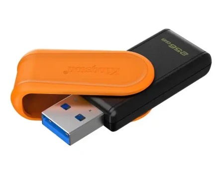 Kingston 3.2 Gen1 DTXS/256GB USB Flash 256 GB