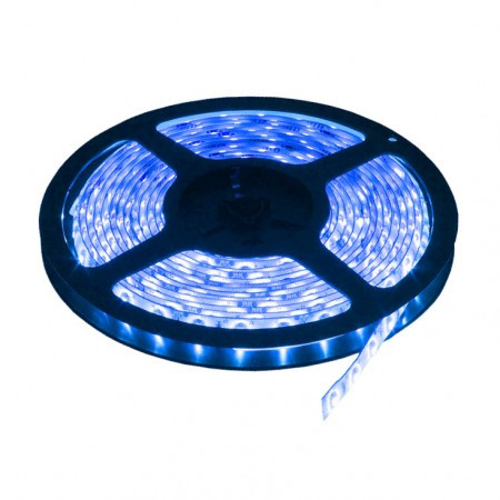 LED traka plava 60 LED / 1m ( LTR2835/60B-12 ) - Img 1