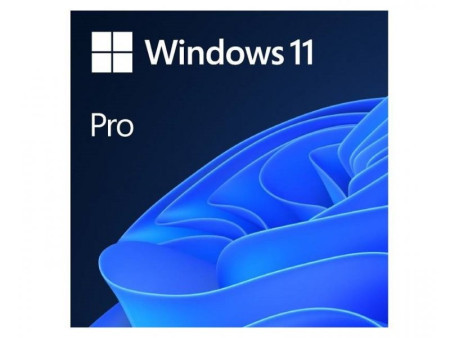 Microsoft Win 11 Pro GGK 64Bit Eng Intl 1pk DSP ORT OEI DVD ( 4YR-00316 )