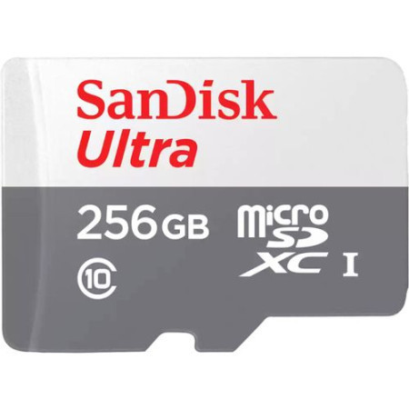 SanDisk SDXC 256GB Ultra Micro 100MB/Class 10/UHS-I - Img 1