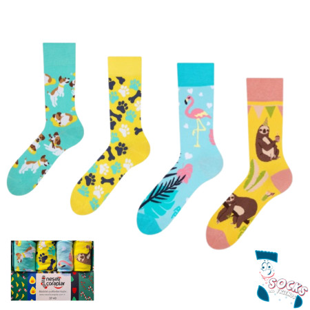 Socks & Friends set čarapa 4/1 animal lover ( 34051 )
