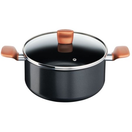 Tefal b2554602 ekspres lonac sa poklopcem 24cm ( 3168430290686 )