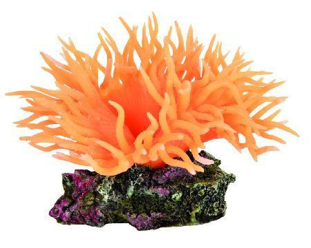 Trixie Koral na kamenu, narandžasti 8cm ( 8888 )