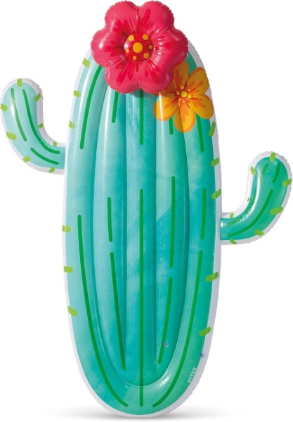 Intex cactus float ( 58793EU )