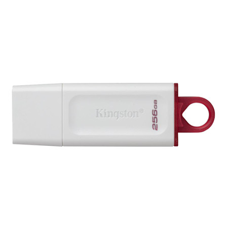 Kingston 256GB exodia USB 3.2 flash drive ( KC-U2G256-5R )