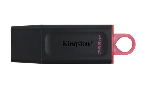 Kingston USB flash UFD 256GB DTX KIN ( 0001204552 )