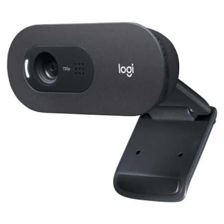Logitech web camera C505e 960-001372