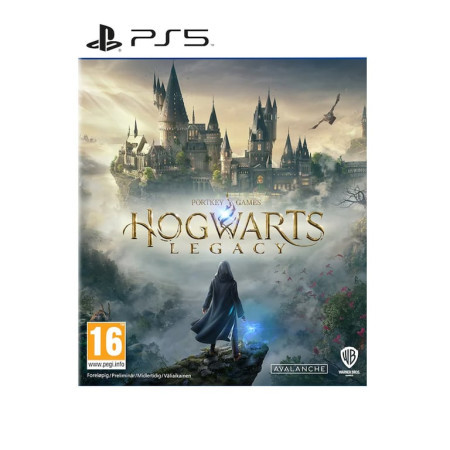 PS5 Hogwarts Legacy ( 048441 )