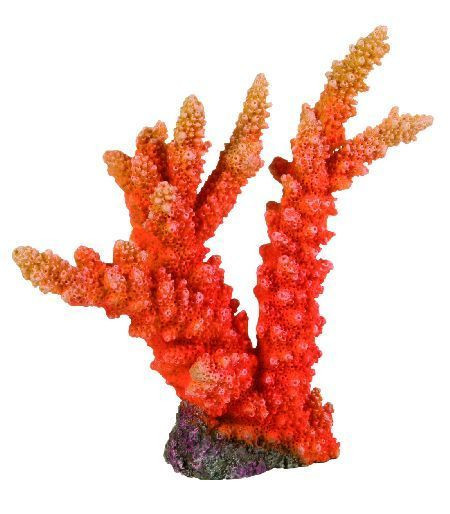 Trixie Mali koral, 18 cm ( 8810 ) - Img 1