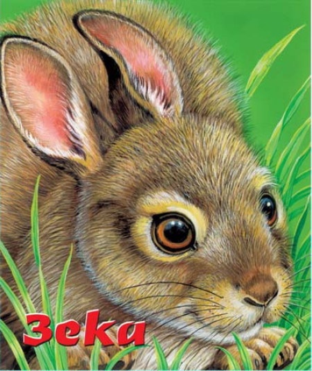 Tvrde slikovnice - Zeka ( 241901 )