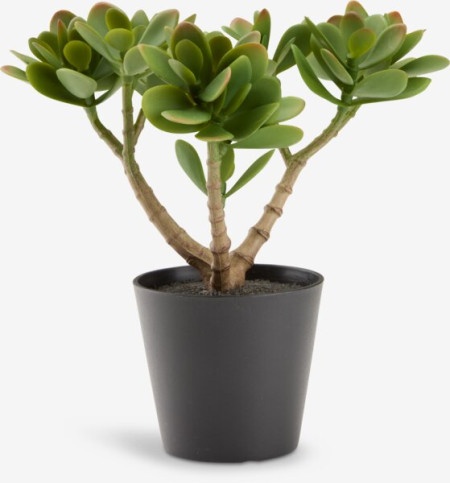 Veštačka biljka V23cm zelena