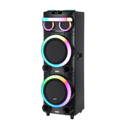 Zvucnik bluetooth ndr-21280 100w 2*12 inca sa dva mikrofona crni ( ZV1073 )
