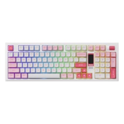 Akko 5098B Plus Prunus Lannesiana - Mechanical Gaming Keyboard ( 075875 )