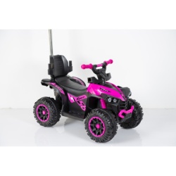 Bic quad push  921 purple   ( TRO0052 ) -5