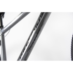 Bicikla 29"/21  maximus grey   ( BCK0953 ) -5
