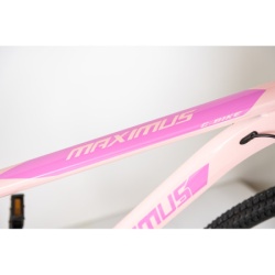 Bicikla 29"/21  maximus pink   ( BCK0950 ) -6