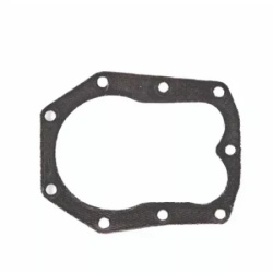 Briggs guini parts zaptivač glave br 10-12,5ks ( 12441 )