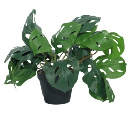 Dekordom Cvet u saksiji - monstera zd-bybg19(a)-pgj5 - 32cm - n55 ( 025079 )