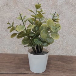 Dekordom cvet u saksiji - succulent 0038-38a - n38 ( 024264 )-4