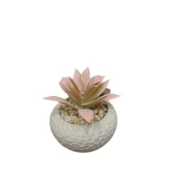 Dekordom cvet u saksiji - succulent cube 321 - n44 ( 024276 )-2