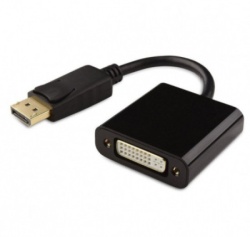 Fast Asia Adapter-konvertor Display Port na DVI (m/ž) ( 292 )