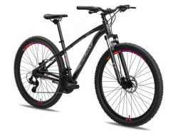 Galaxy Bicikl galaxy zenith 29"/21 crna/siva/roza mat ( 650233 )