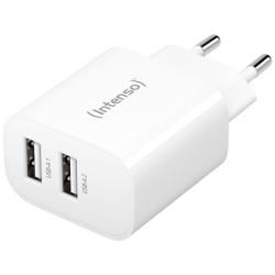 Intenso Punjač kućni, 2 x USB-A, 2.4A, 24W - Power Adapter W24AA-2