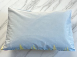Jastučnica 50x70cm 100% Damast Blue/Green ( VLK000177-blue/green )