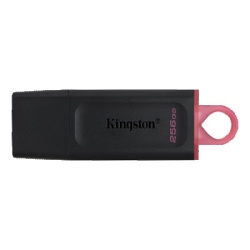 Kingston dtx/256gb usb3.2 Flashdrive 256gb ( 20541 )