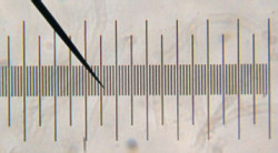 Lacerta kalibrisana plocica 0.1mm ( MikRet01 ) - Img 3