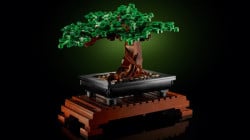 Lego 10281 bonsai drvo ( 10281 ) - Img 11