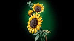 Lego Buket suncokreta ( 11502 )-5
