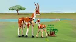 Lego Divlje safari životinje ( 31150 ) - Img 12