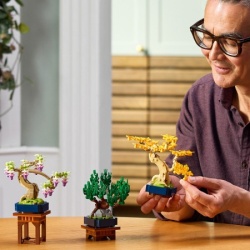 Lego Mini-bonsai drveće ( 10373 )-6