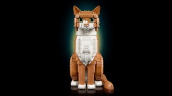 Lego Narandžasta mačka ( 21376 )-5